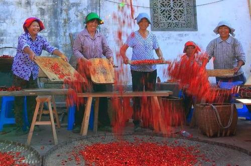农民二龙最新爆料图片